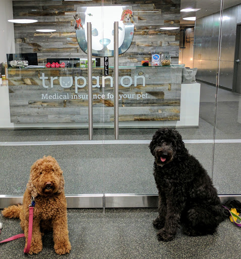 Insurance Company «Trupanion, medical insurance for cats and dogs», reviews and photos
