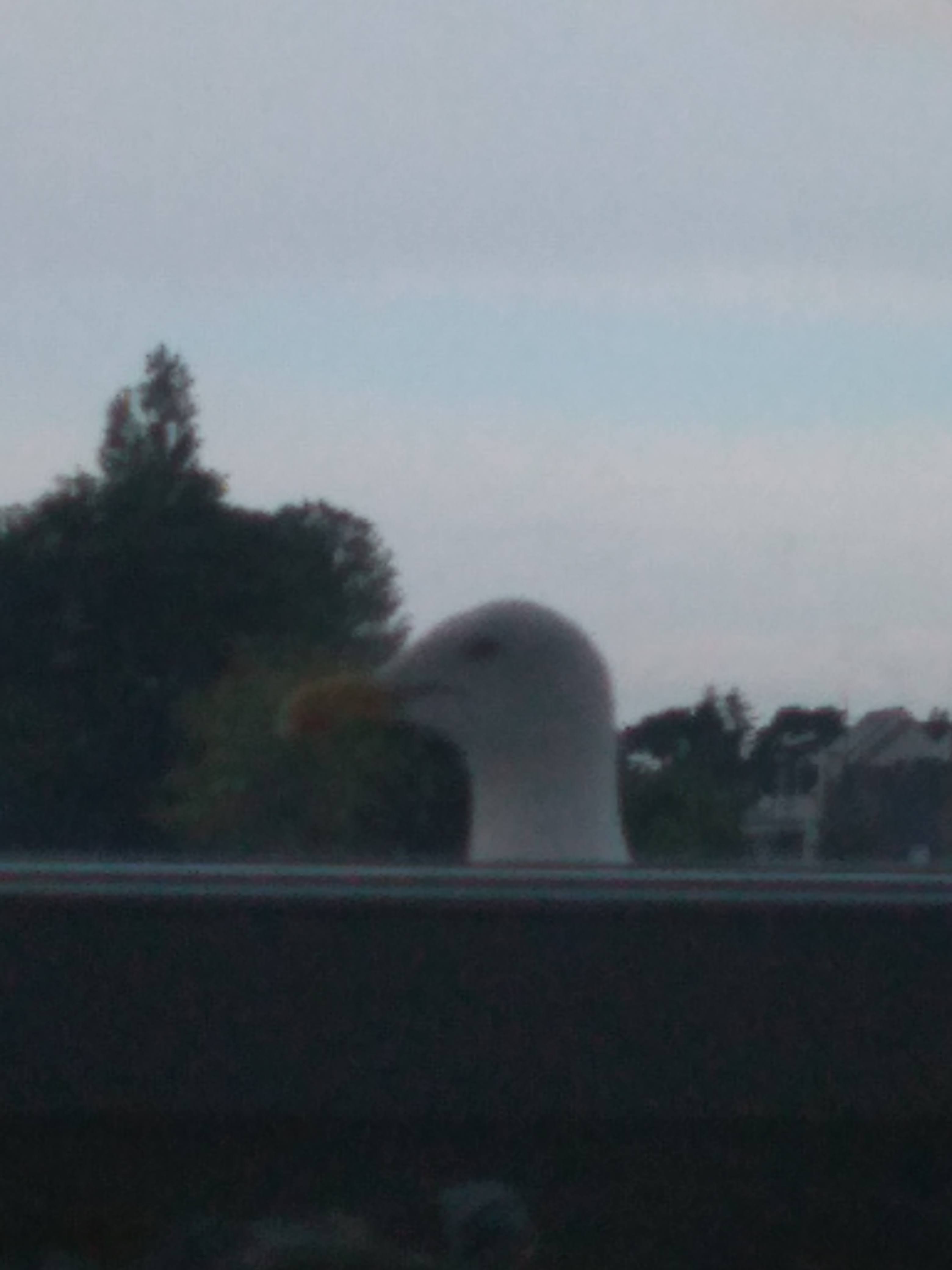 Photo n° 31 de l'avis de Gérard.u fait le 06/11/2020 à 21:03