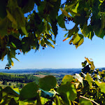 Photo n°1 de l'avis de Sara. fait le 23/08/2020 à 12:33 sur le  Villa San Filippo Resort Dimora Storica à Barberino Tavarnelle