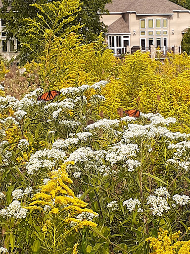 Park «Cleveland Metroparks», reviews and photos, 1969 W Ridgewood Dr, Cleveland, OH 44134, USA