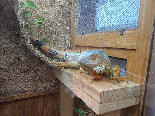 Pet Store «Pet Central», reviews and photos, 1200 Smallhouse Rd, Bowling Green, KY 42104, USA