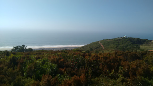 Opinii despre M.S.Q. - Medicina, Sangue E Qualidade, Lda. în Caldas da Rainha - Médico