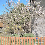 Photo n°3 de l'avis de Olivia.i fait le 04/04/2022 à 09:40 sur le  ZÜFLE - hotel - restaurant - spa à Sulz