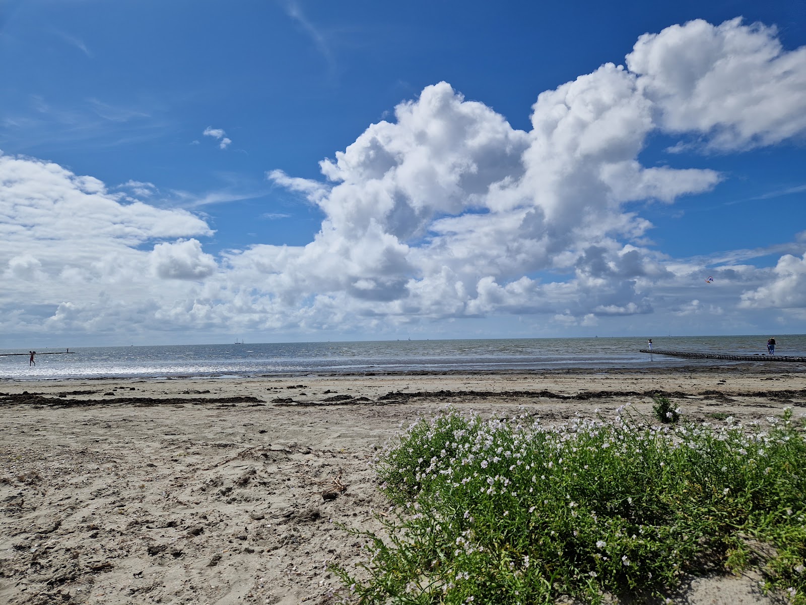 Strand Harlingen photo #7