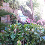 Photo n°4 de l'avis de Simonetta.o fait le 12/07/2017 à 22:26 sur le  Gelateria Caffetteria Mecozzi à Servigliano