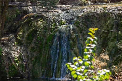 Park «Wild Basin Wilderness Preserve», reviews and photos, 805 N Capital of Texas Hwy, Austin, TX 78746, USA