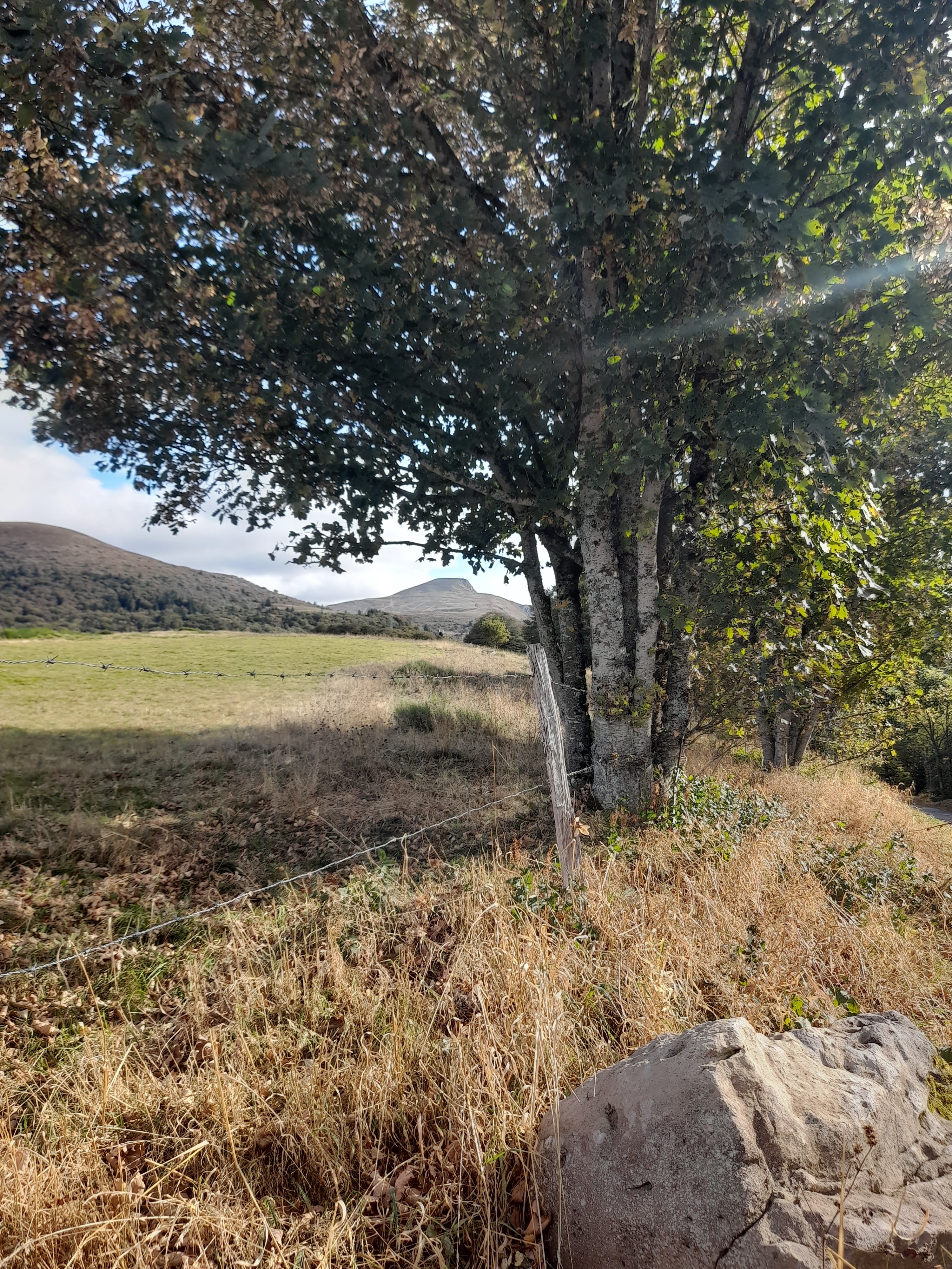 Photo n° 8 de l'avis de Cathy.e fait le 17/10/2023 à 15:14