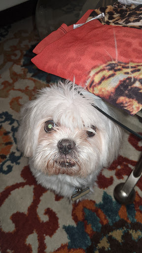 Pet Supply Store «Petco Animal Supplies», reviews and photos, 280 Kensington Blvd, Slidell, LA 70458, USA