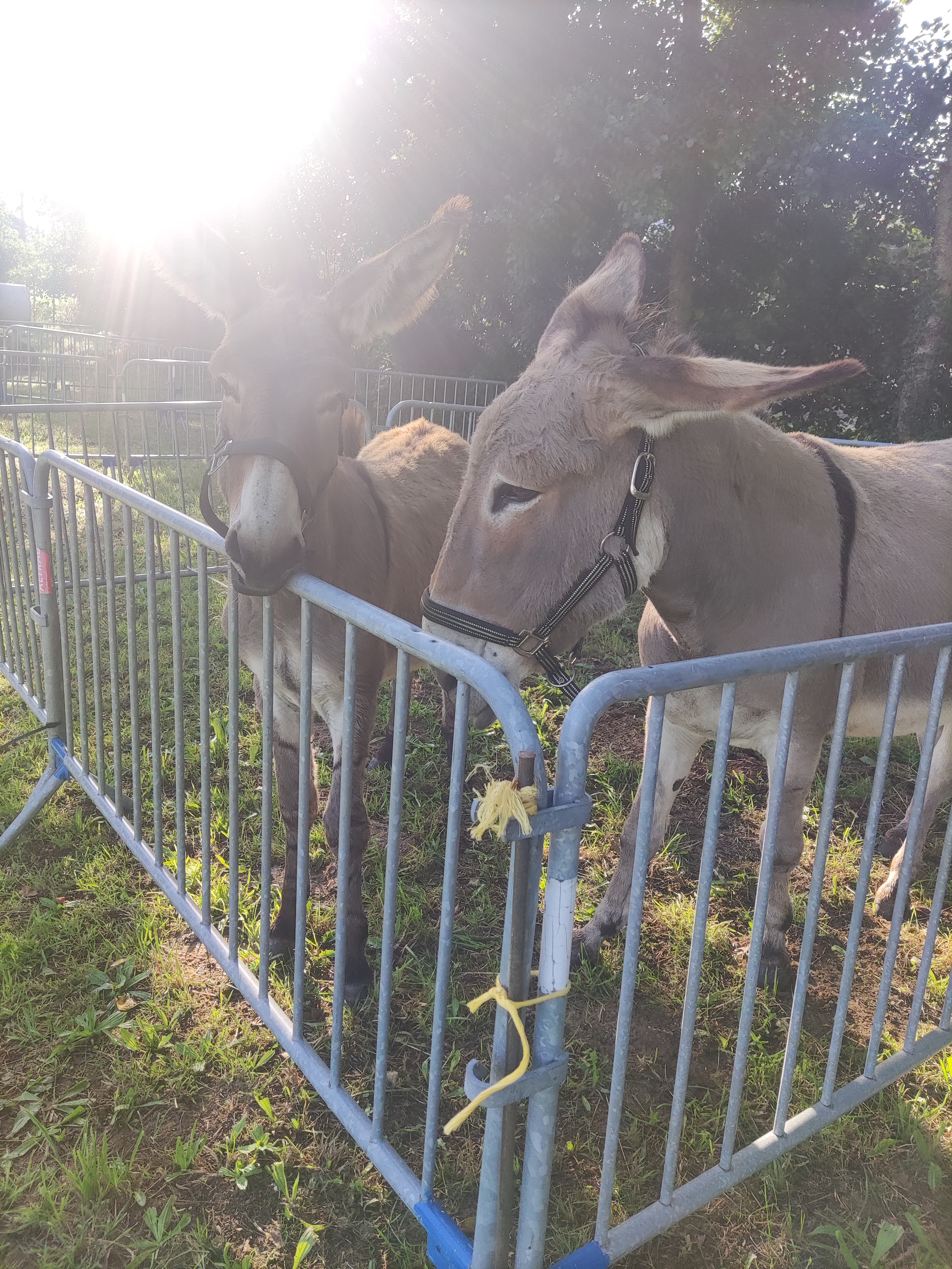 Photo n° 3 de l'avis de Christian.r fait le 01/09/2018 à 13:46