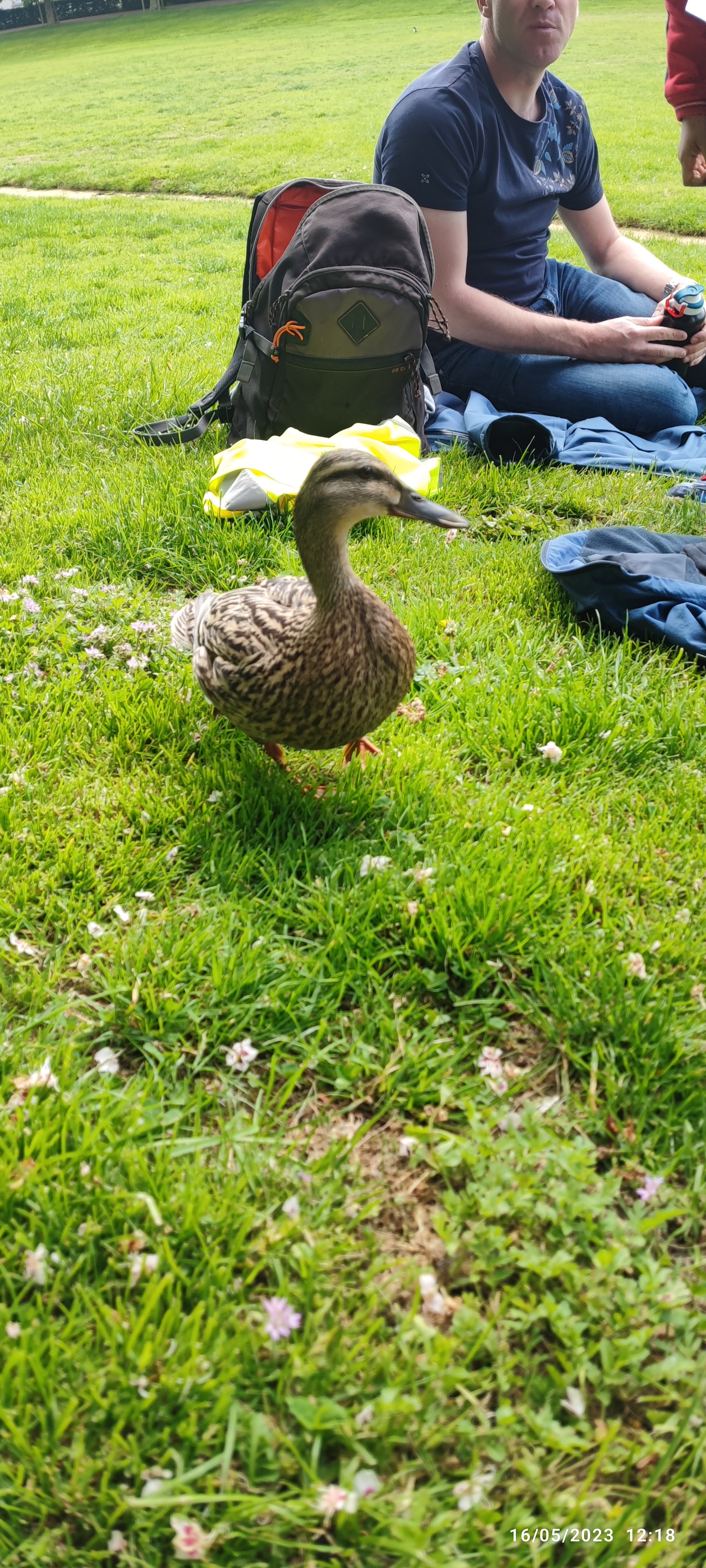 Photo n° 2 de l'avis de Isabelle.l fait le 16/05/2023 à 13:00