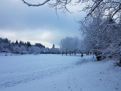 Park «Lake Boren Park», reviews and photos, 13058 SE 84th Way, Newcastle, WA 98056, USA