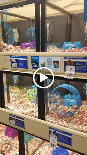 Pet Supply Store «PetSmart», reviews and photos, 1125 Quentin Rd, Lebanon, PA 17042, USA