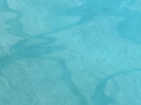 Denver Pool Cleaners - Photo 4 - Car repair in , Denver