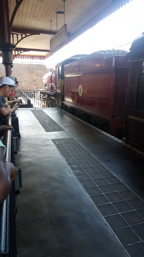 Roller Coaster «Dragon Challenge», reviews and photos, 6000 Universal Blvd, Orlando, FL 32819, USA