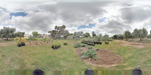 Tourist Attraction «The Bella Vista Ranch / First Texas Olive Oil Co.», reviews and photos, 3101 Mt Sharp Rd, Wimberley, TX 78676, USA