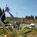 Photo n°3 de l'avis de Magdala.e fait le 05/08/2022 à 22:52 sur le  La Gozzetta à Pieve Santa Luce