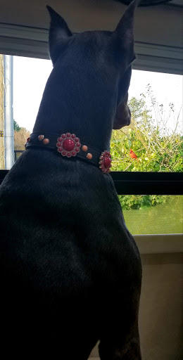 Department Store «Walmart Supercenter», reviews and photos, 2132 Old Snow Hill Rd, Pocomoke City, MD 21851, USA