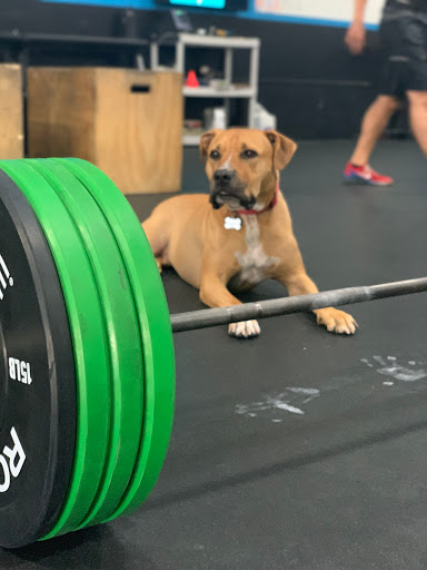 Gym «CrossFit Infinite Strength», reviews and photos, 8425 N 90th St #3, Scottsdale, AZ 85258, USA