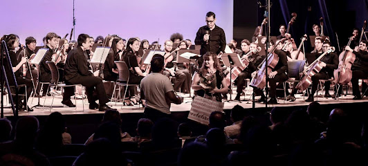The Young Artists Orchestra of Las Vegas
