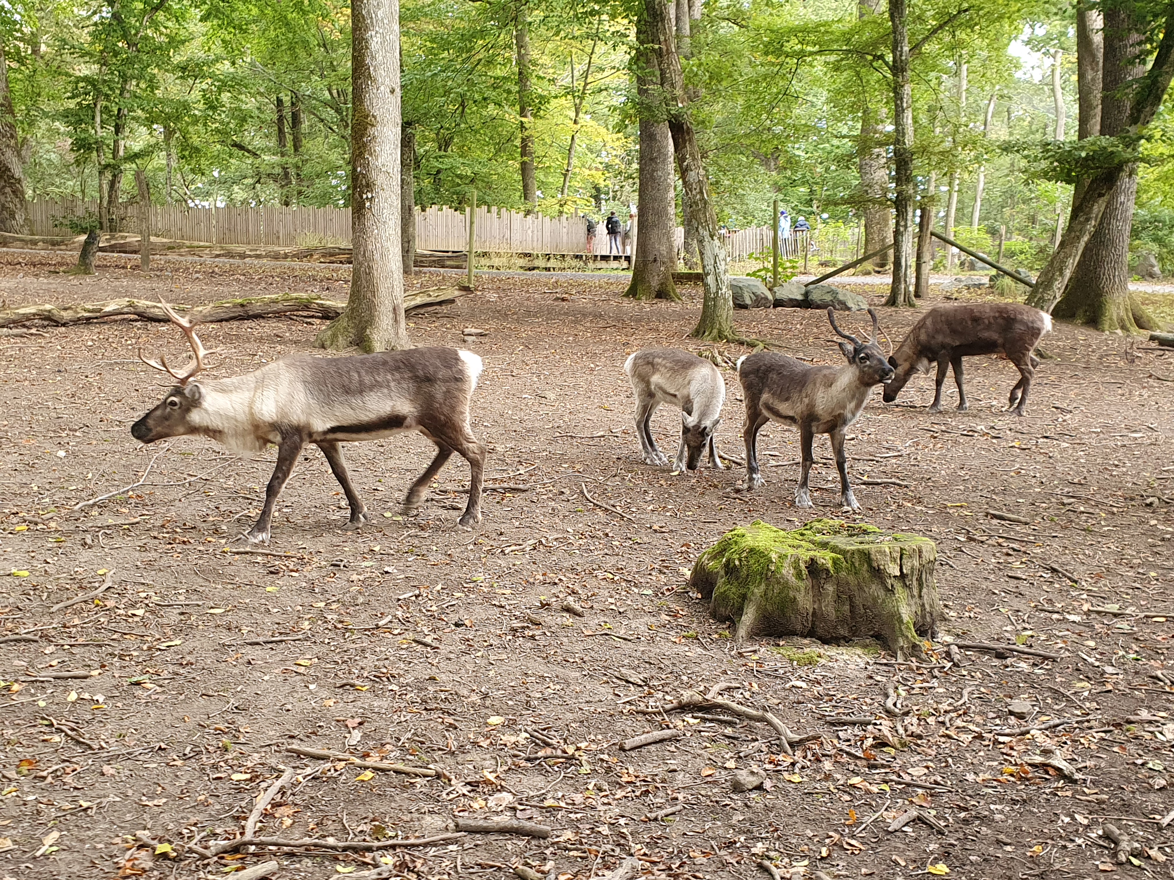 Photo n° 2 de l'avis de Martine.e fait le 18/10/2021 à 13:49