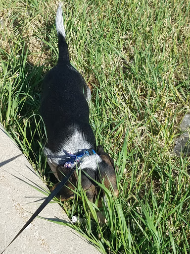 Pet Supply Store «PetSmart», reviews and photos, 443 N Rolling Meadows Dr, Fond du Lac, WI 54937, USA