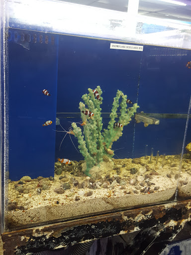 Tropical Fish Store «Texas Tropical & Marine», reviews and photos, 4034 Vance Jackson Rd, San Antonio, TX 78213, USA