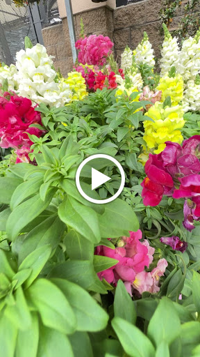 Home Improvement Store «The Home Depot», reviews and photos, 43900 Ice House Terrace, Fremont, CA 94538, USA