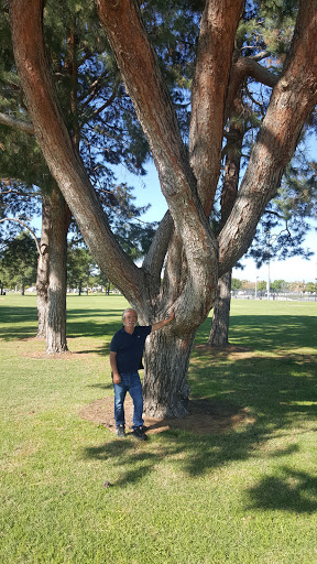 Community Park «Ruben S. Ayala Park», reviews and photos, 14225 Central Ave, Chino, CA 91710, USA
