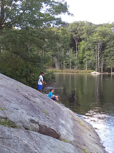 State Park «Lincoln Woods State Park», reviews and photos, 2 Manchester Print Works Rd, Lincoln, RI 02865, USA