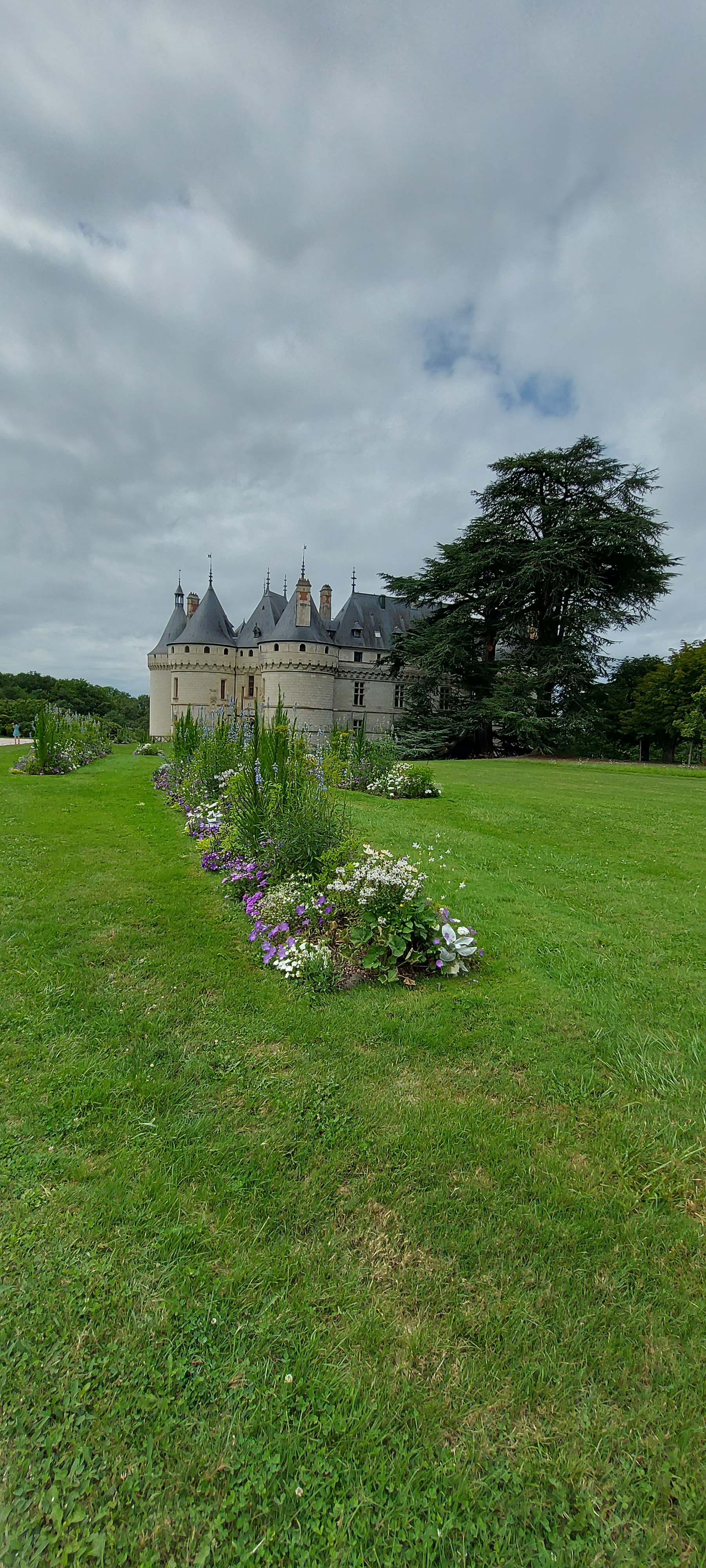 Photo n° 3 de l'avis de Denis.a fait le 20/08/2023 à 20:29