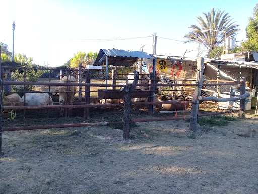 Rancho Don Fili