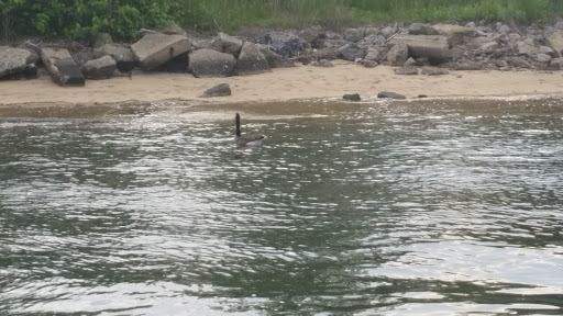 Park «Seamans Neck Park», reviews and photos, 2700 S Seamans Neck Rd, Seaford, NY 11783, USA