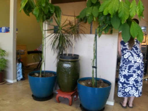 Explore moon tattoo ideas for females, creative tattoo ideas in Medford, available at A Body Mod