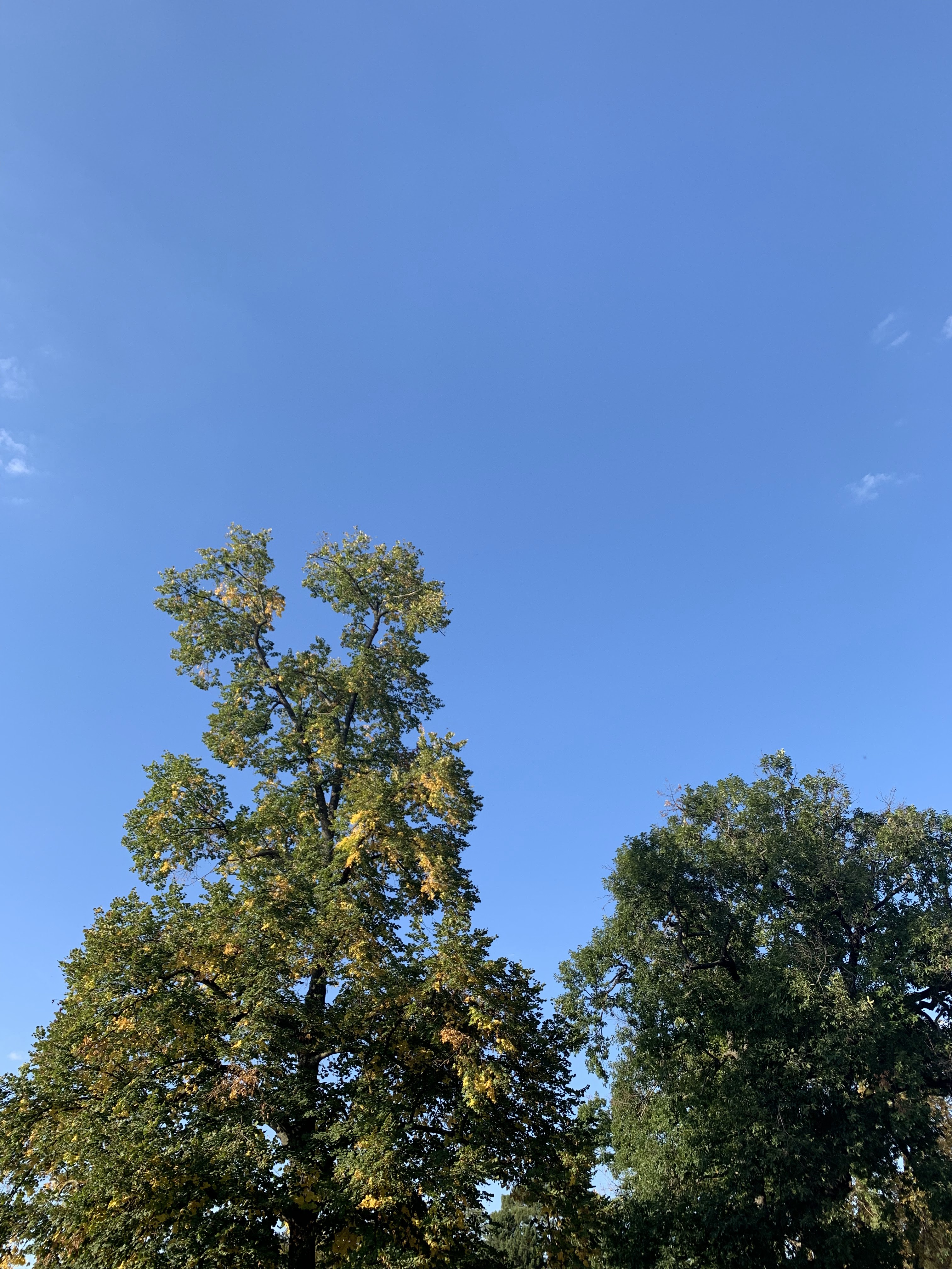 Photo n° 1 de l'avis de J. fait le 21/12/2019 à 13:44