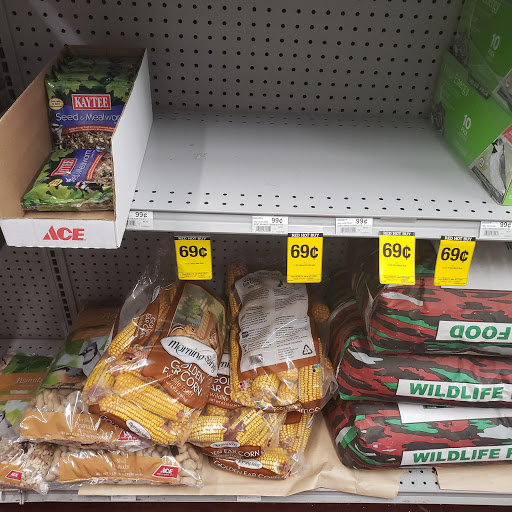 Hardware Store «Walls Ace Hardware», reviews and photos, 2932 Canton Rd #280, Marietta, GA 30066, USA