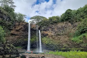 Wailua Falls image