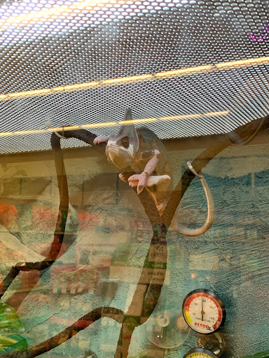 Pet Supply Store «Petco Animal Supplies», reviews and photos, 17200 Southcenter Pkwy #100, Tukwila, WA 98188, USA