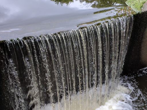 State Park «Parvin State Park», reviews and photos, 701 Almond Rd, Pittsgrove Township, NJ 08318, USA