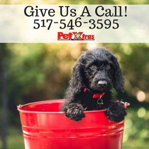 Pet Supply Store «Pet X Supplies & Tack», reviews and photos, 132 W Highland Rd Suite 101, Howell, MI 48843, USA