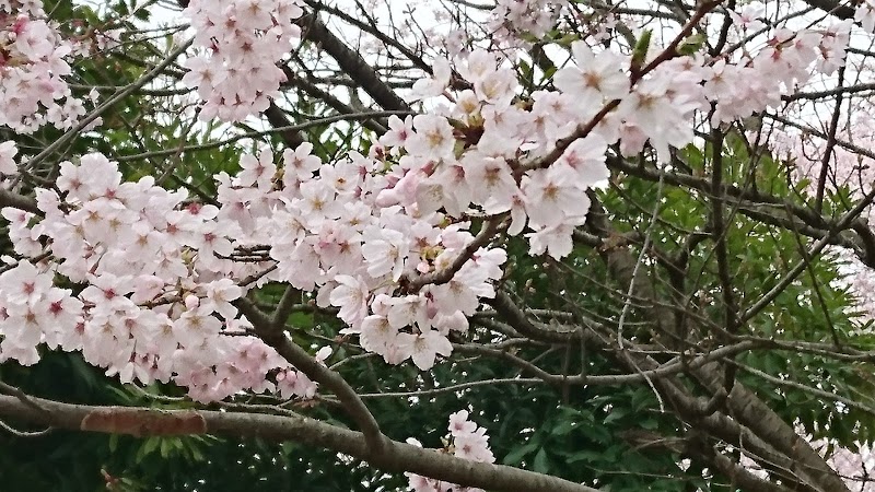 東習志野ふれあい広場