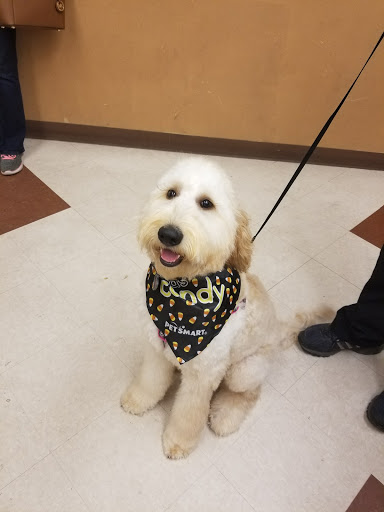 Pet Supply Store «PetSmart», reviews and photos, 6046 Marsha Sharp Fwy, Lubbock, TX 79407, USA