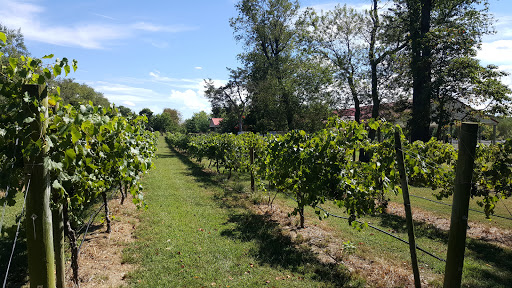 Winery «Pizzadili Vineyard & Winery», reviews and photos, 1671 Peach Basket Rd, Felton, DE 19943, USA
