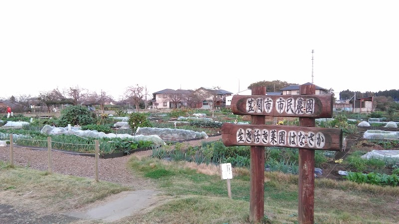 笠間市市民農園 生き活き菜園はなさか