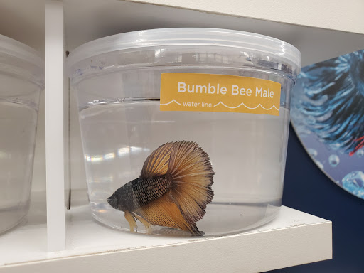 Pet Supply Store «Petco Animal Supplies», reviews and photos, 3454 Palmer Dr #7a, Cameron Park, CA 95682, USA