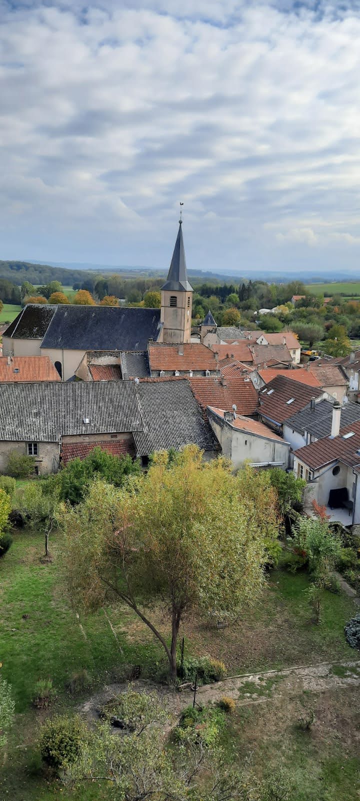 Photo n° 18 de l'avis de Fernando.i fait le 19/10/2020 à 21:12