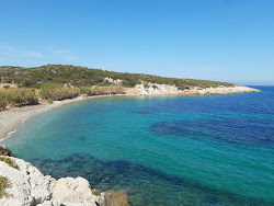 Olcabuk Plajı'in fotoğrafı geniş ile birlikte