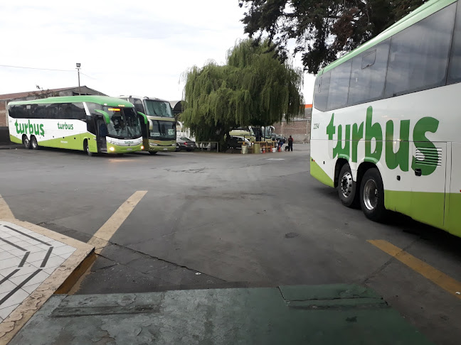 Tur-Bus - Terminal Rancagua - Servicio de transporte