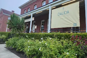 Dalida image