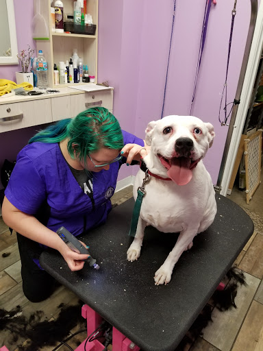 Pet Supply Store «Emi Pet Salon & Boutique - Short North», reviews and photos, 743 N High St, Columbus, OH 43215, USA