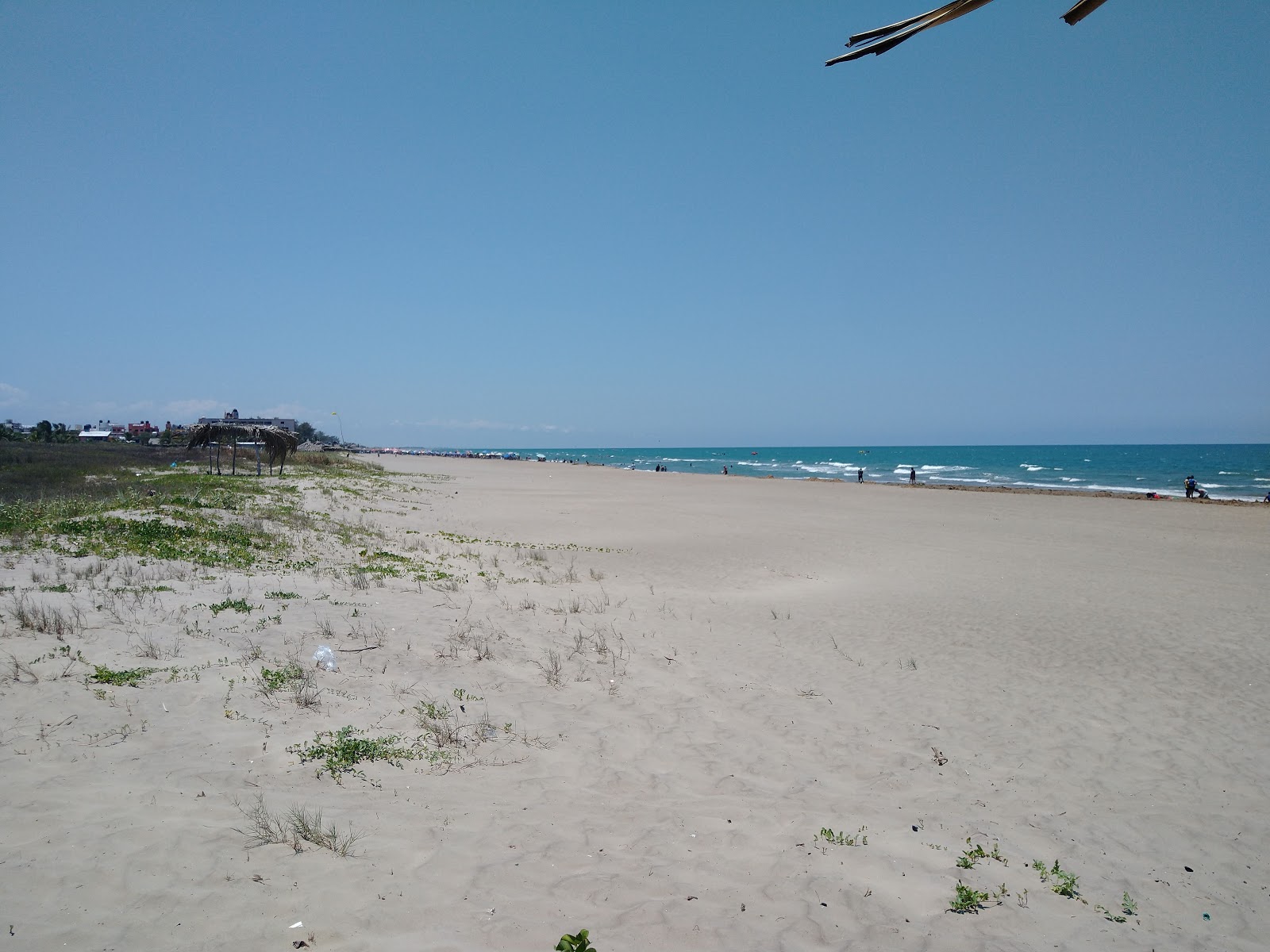 Fotografija Playa Tecolutla priljubljeno mesto med poznavalci sprostitve